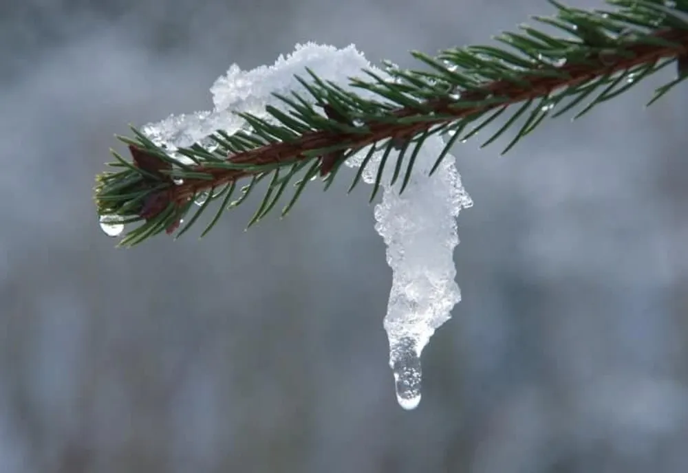 Meteorologii anunţă că vremea se răceşte în toată ţara, în următoarele două săptămâni