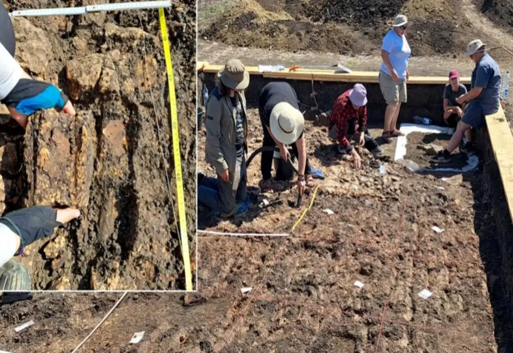 Descoperire arheologică uriașă. Cum se trăia în România acum 6.000 de ani: fără lideri, fără elite, sistem social egalitar