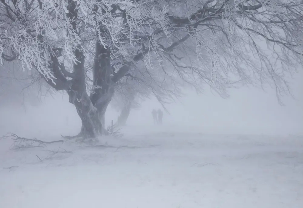 Alertă METEO! Cod galben și portocaliu de vânt puternic și ninsori viscolite