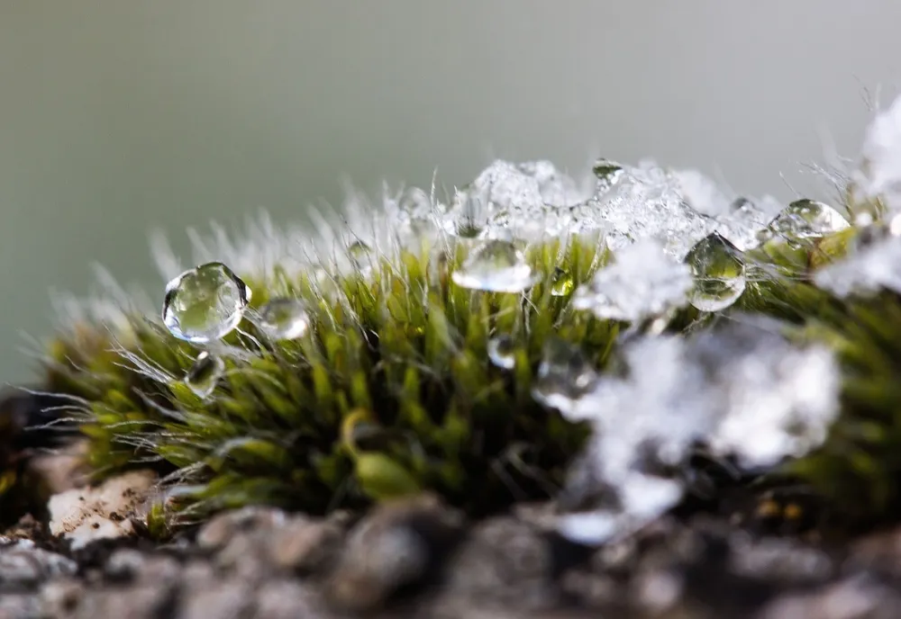 VREMEA 9 APRILIE. TEMPERATURI SCĂZUTE ȘI PRECIPITAȚII SLABE