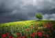 Prognoza meteo: Cod galben de instabilitate atmosferică în mai multe zone din ţară