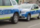 Un bărbat din Vaslui a fost găsit decedat în vârful unui copac. Polițiștii fac cercetări