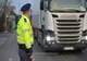 Adolescenții care l-au ucis pe șoferul de TIR, în Belgia, au acționat cu premeditare