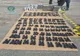 Captură de proporții la Calafat. Ce au descoperit polițiștii de frontieră