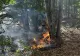 Incendiu de proporții în zona Muntelui Giurgiu, județul Vrancea. Flăcările au cuprins 10 hectare de pădure